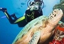 Open Water License (3 Day Course)